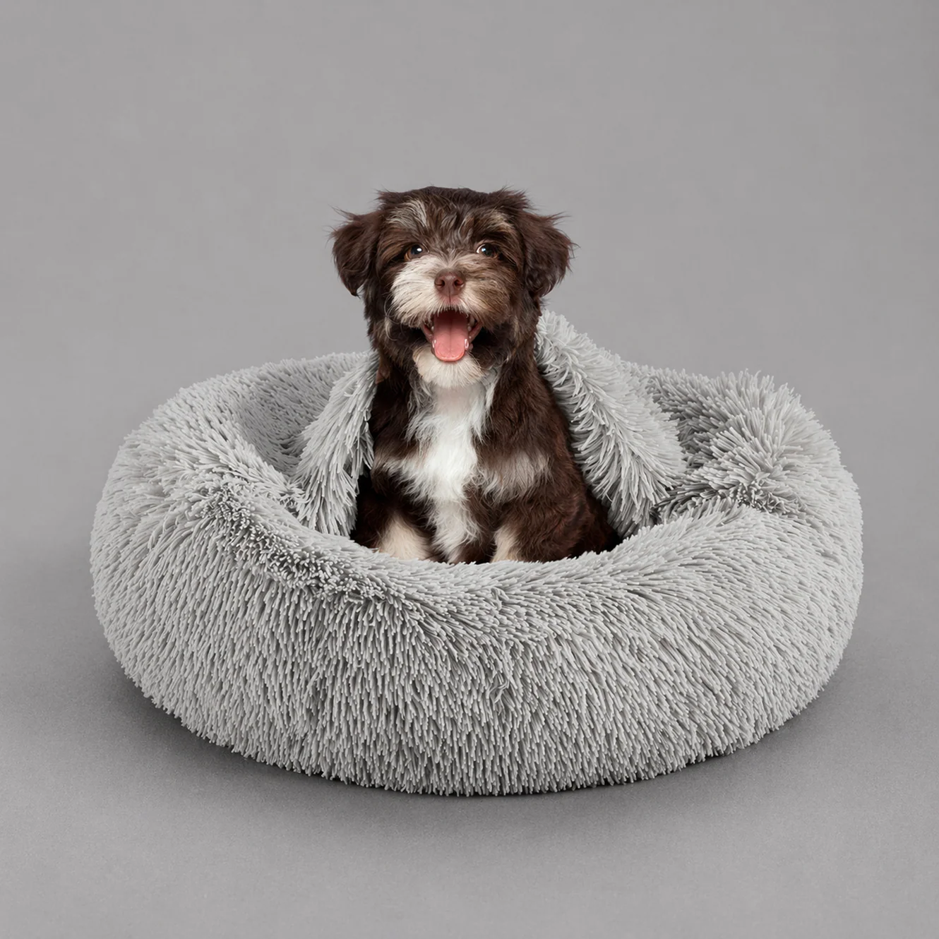 new pet parent checklist